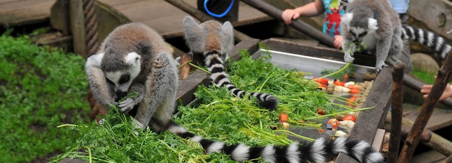 Skansen-Akvariet (Sverige)