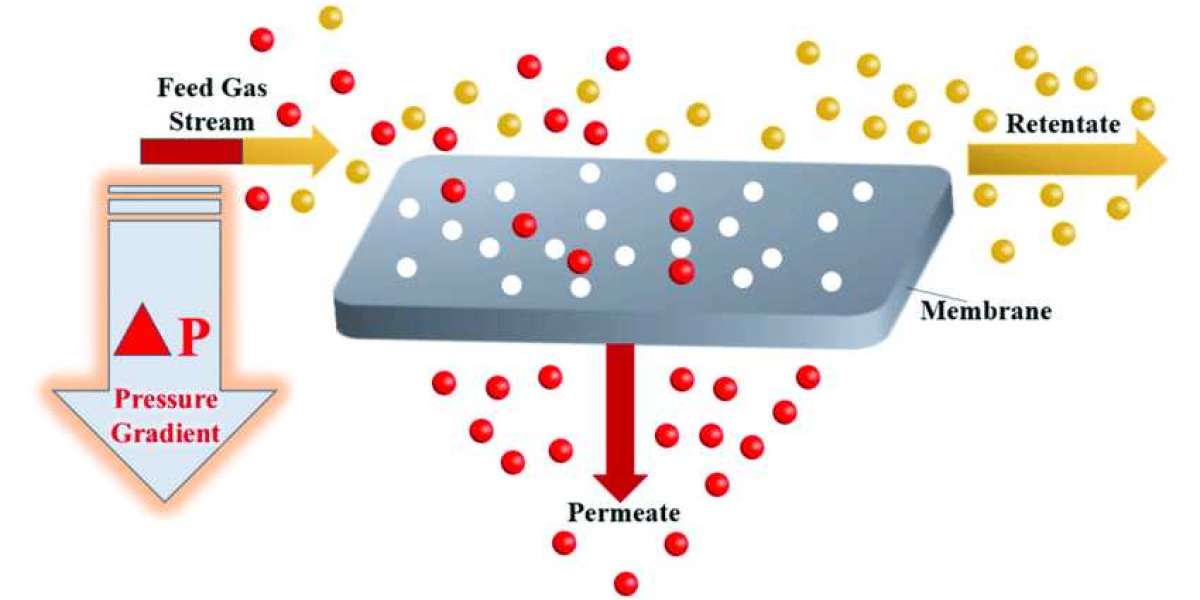 Gas Separation Membranes Market Growth Trends, Size, Share, Opportunities, Demand and Forecast till 2027