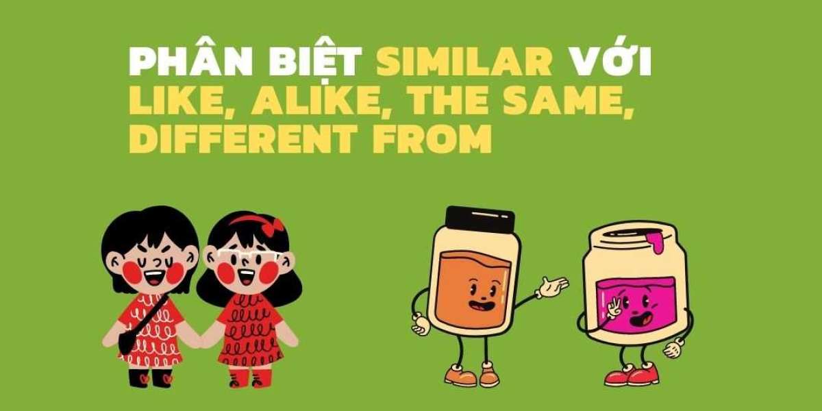 Similar đi với giới từ gì? Phân biệt Similar với Like, Alike, The same