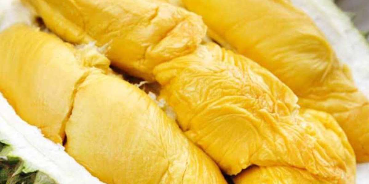 Cây sầu riêng Musang King nguồn gốc, đặc điểm,hướng dẫn kỹ thuật trồng