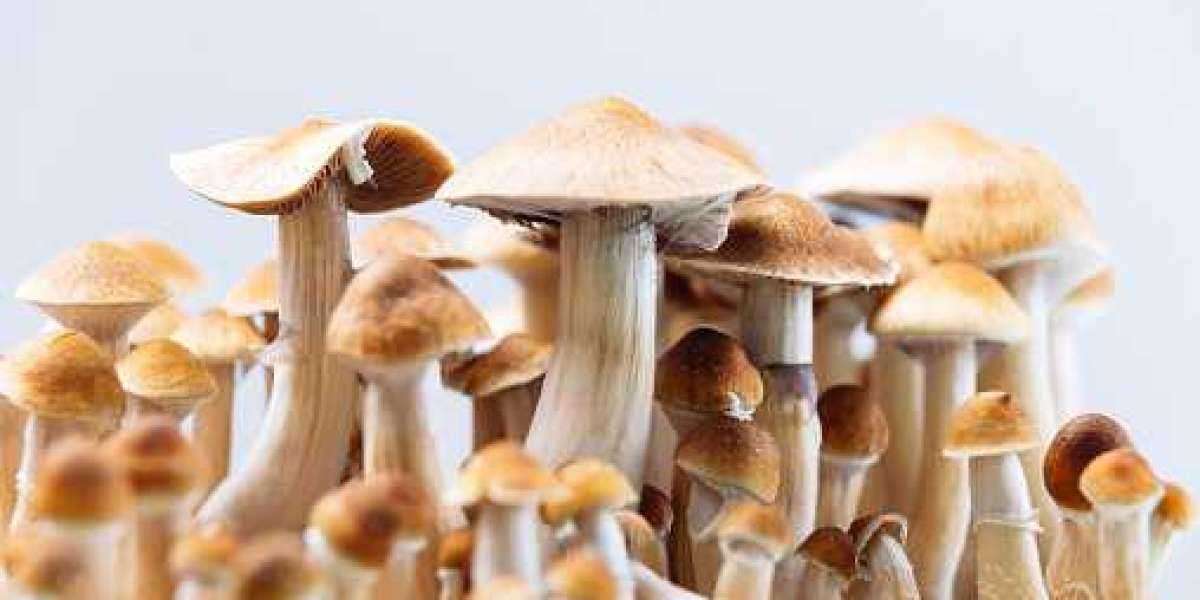 Magic mushrooms In Mississippi