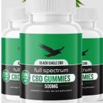 CBD Gummies CBD Gummies