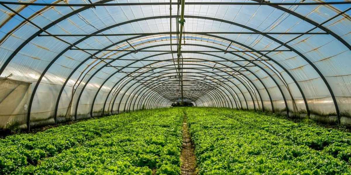 North America Indoor Farming Market Outlook, 2027 Is Anticipated To Grow At A CAGR Of More Than 12.87% In Value Terms In