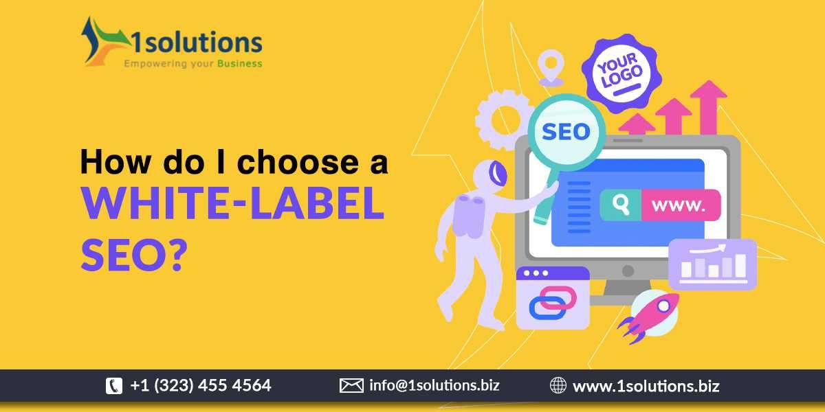 How do I choose a white-label SEO?