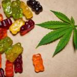 CBD Gummies CBD Gummies