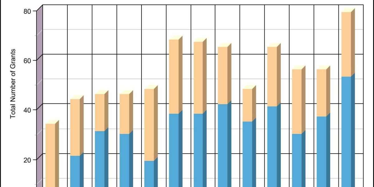 Decoding the Foundation Funders|Foundation Search Blog