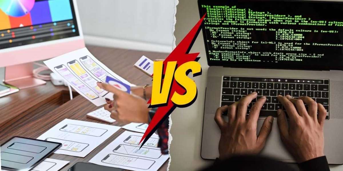 Should you work as a Web Designer or a Web Developer?