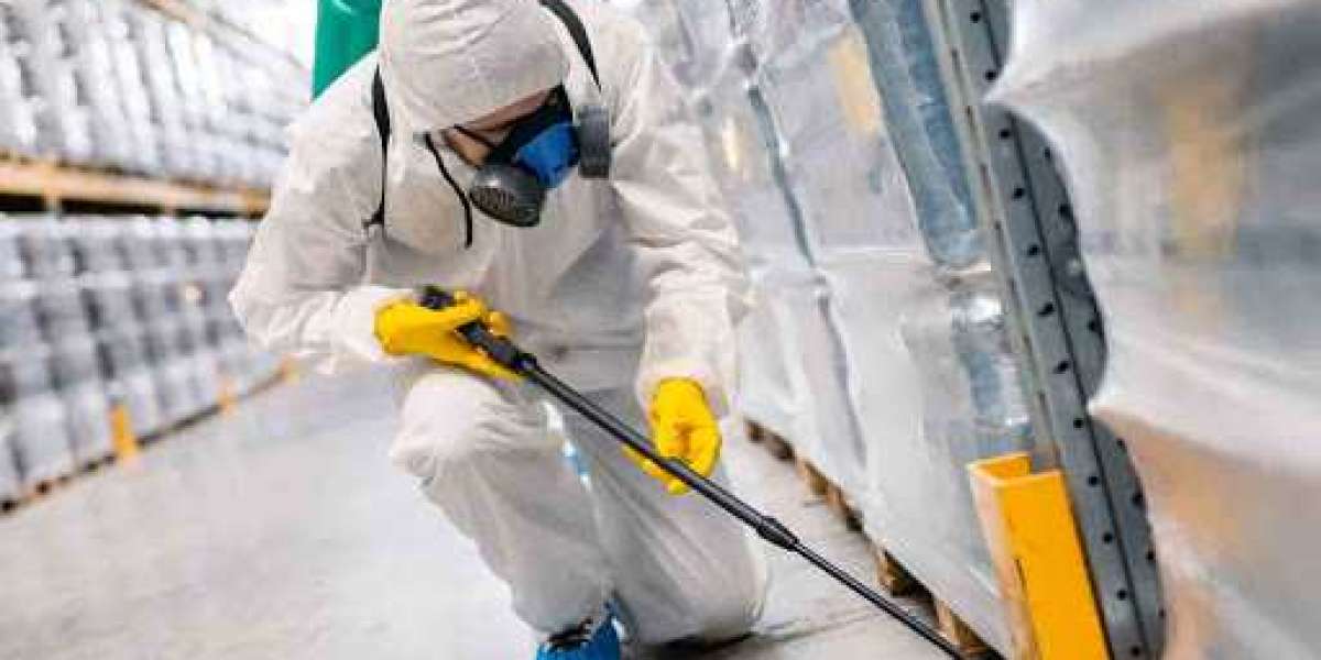 Making a Pest Control Company Choice