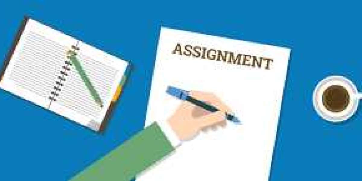 assignment help services