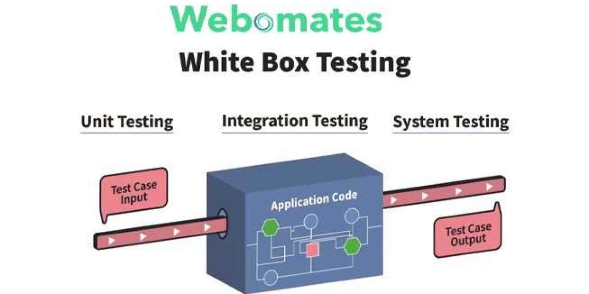 White box testing