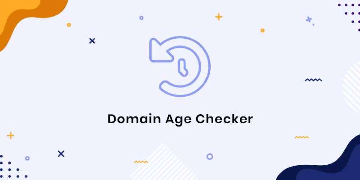 Domain age – Trình kiểm tra độ tuổi tên miền chính xác nhất 2023