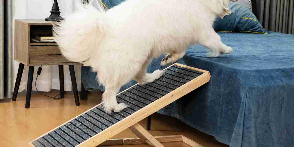 Benefits of Using a Dog Ramp for Car Travel