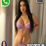 Escorts Escorts