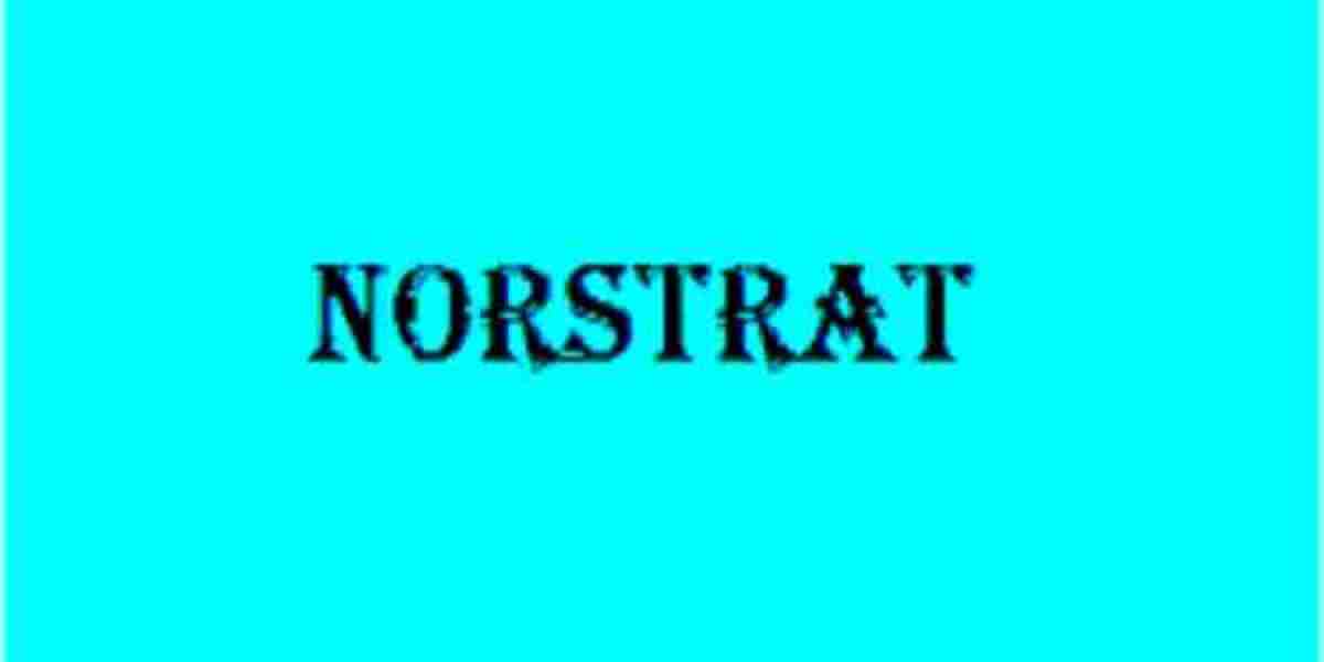 Norstrat: A Consulting Firm for Business Success