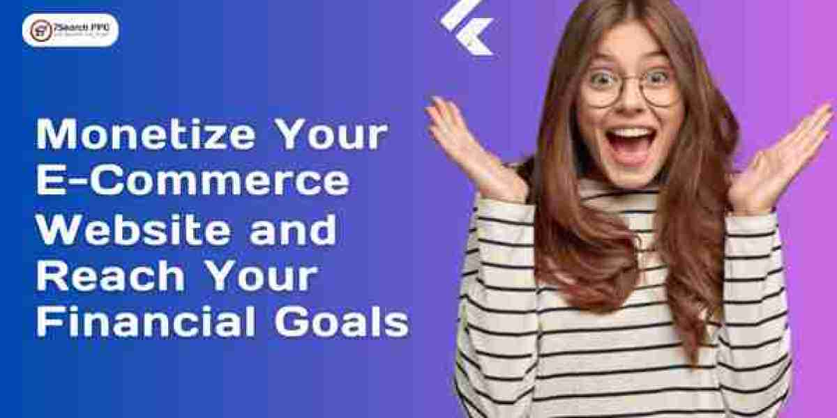 Monetize Your E-Commerce Website and Reach Your Financial Goals