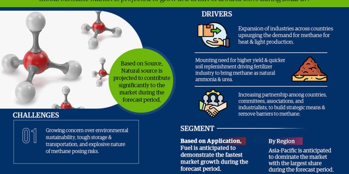 Methane Market Analysis: Size, Share, and Future Growth Projection