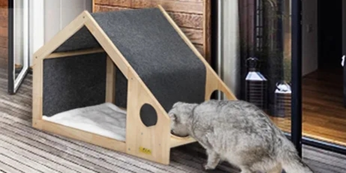 The Future of Cat House——Innovation, Technology, and Design Trends