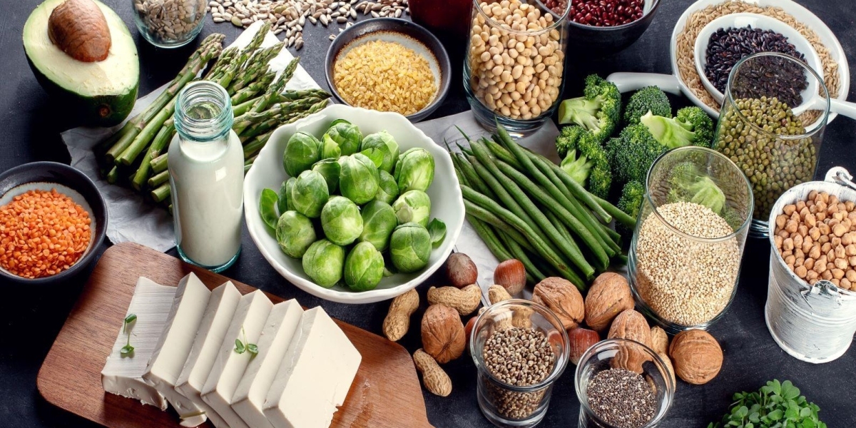 Protein Ingredients Market Share 2023 | Industry Trends, Growth and Forecast 2028