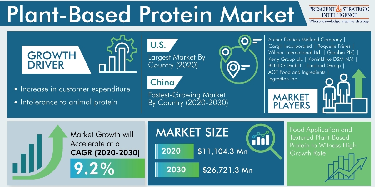 Plant-Based Protein Market Analysis by Trends, Size, Share, Growth Opportunities, and Emerging Technologies