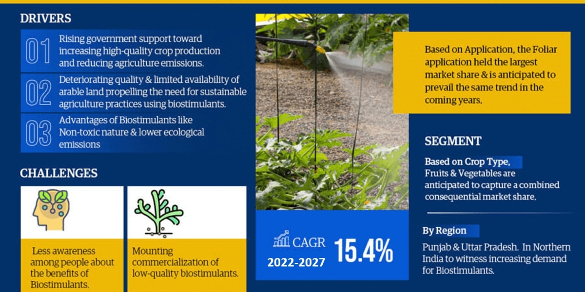 India Biostimulants Market Analysis: Size, Share, and Future Growth Projection