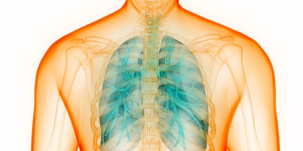 Alpha-1 Antitrypsin Deficiency Treatment Market Insights Shows Industry Expansion with Improved Awareness