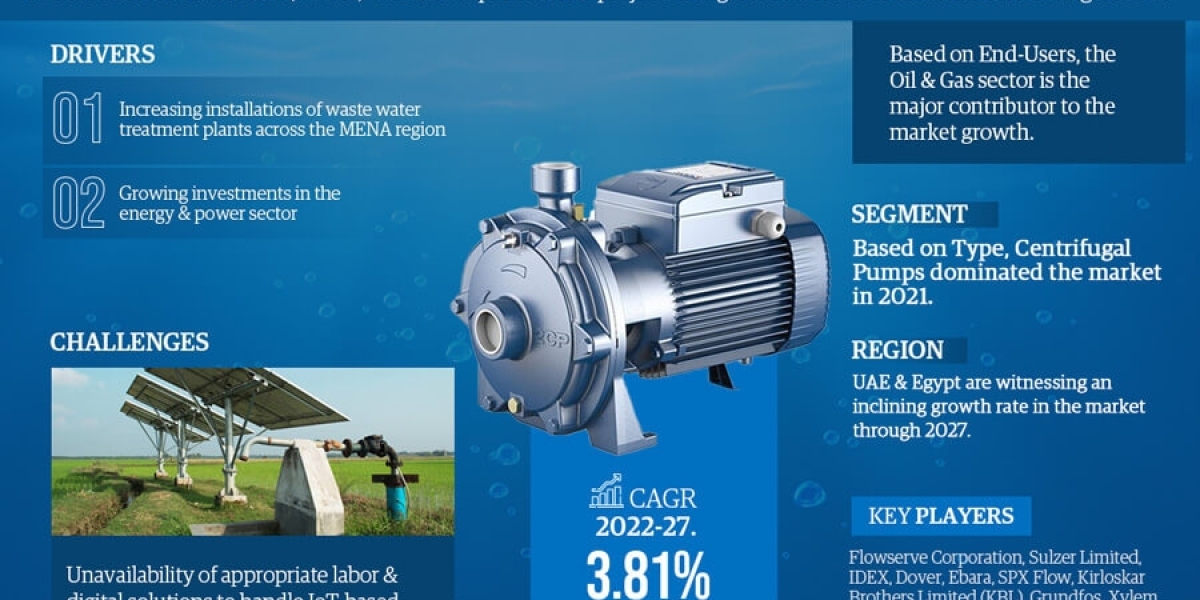 Middle East & North Africa Water Pumps Market Analysis: Size, Share, and Future Growth Projection