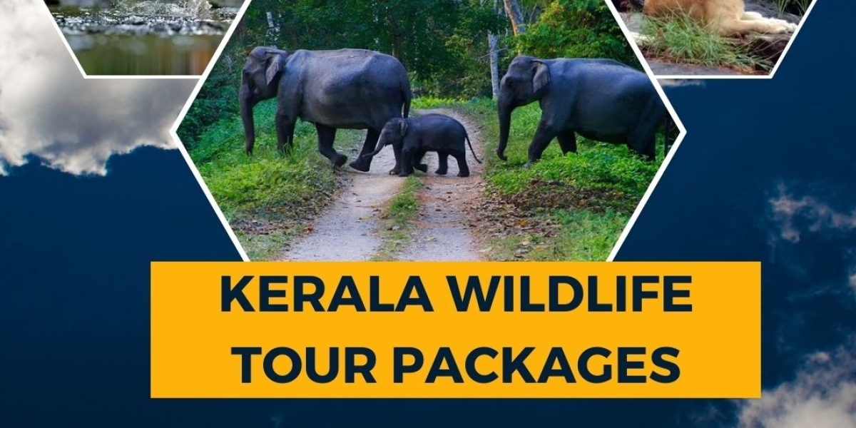 Exploring the Wild Heart of Kerala: Unveiling Thrilling Wildlife Tour Packages