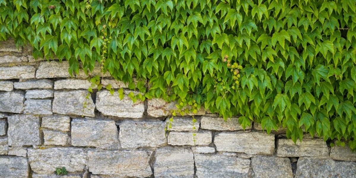 Benefits of Engineered Retaining Walls in Landscaping