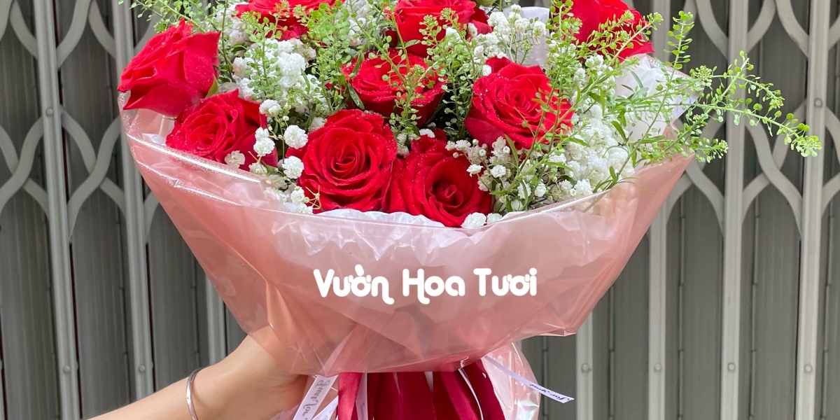 Bật mí những điều thú vị về Hoa Hồng Đỏ Trong Cuộc Sống