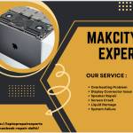 Makcity Experts