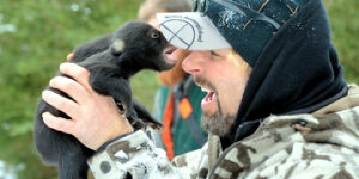 bear whisperer