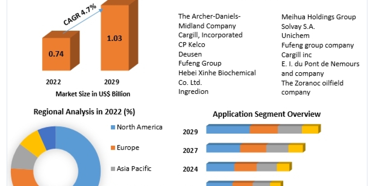 Xanthan Gum Market Industry Insights & Opportunity Evaluation Till 2029