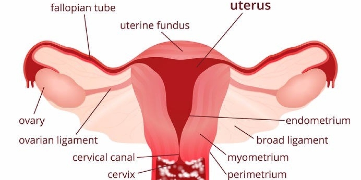 Vulvovaginal Candidiasis Market Report 2023: Epidemiology, Industry Trends, Size, Share and Forecast to 2033