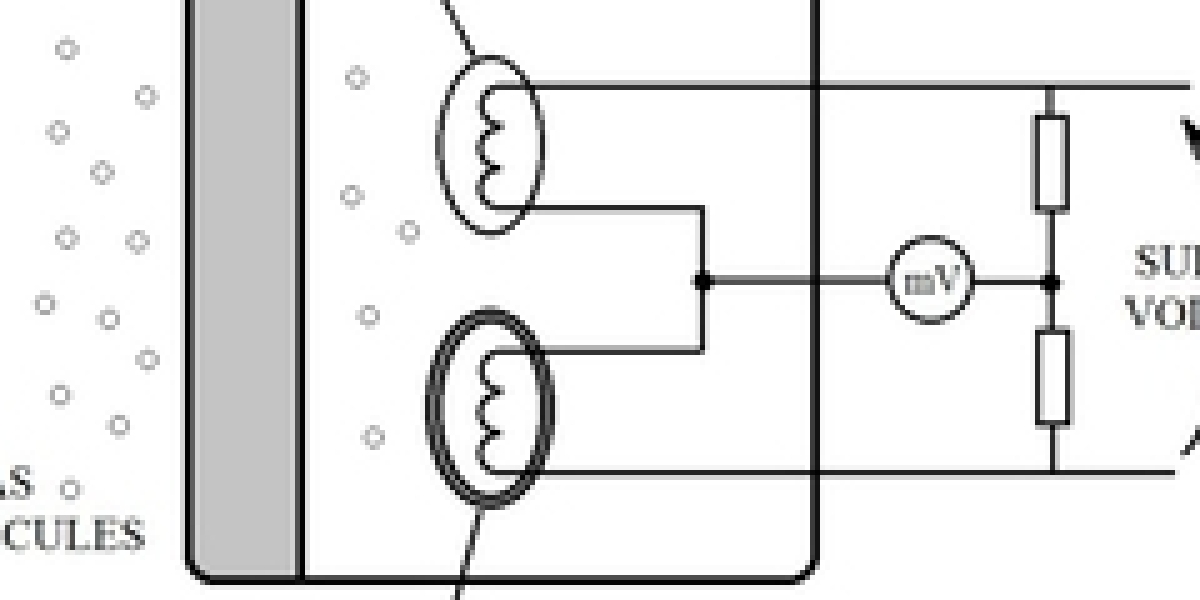 Delving into the Regional Landscape of the Pellistor Bead Chemical Sensors Market's Growth