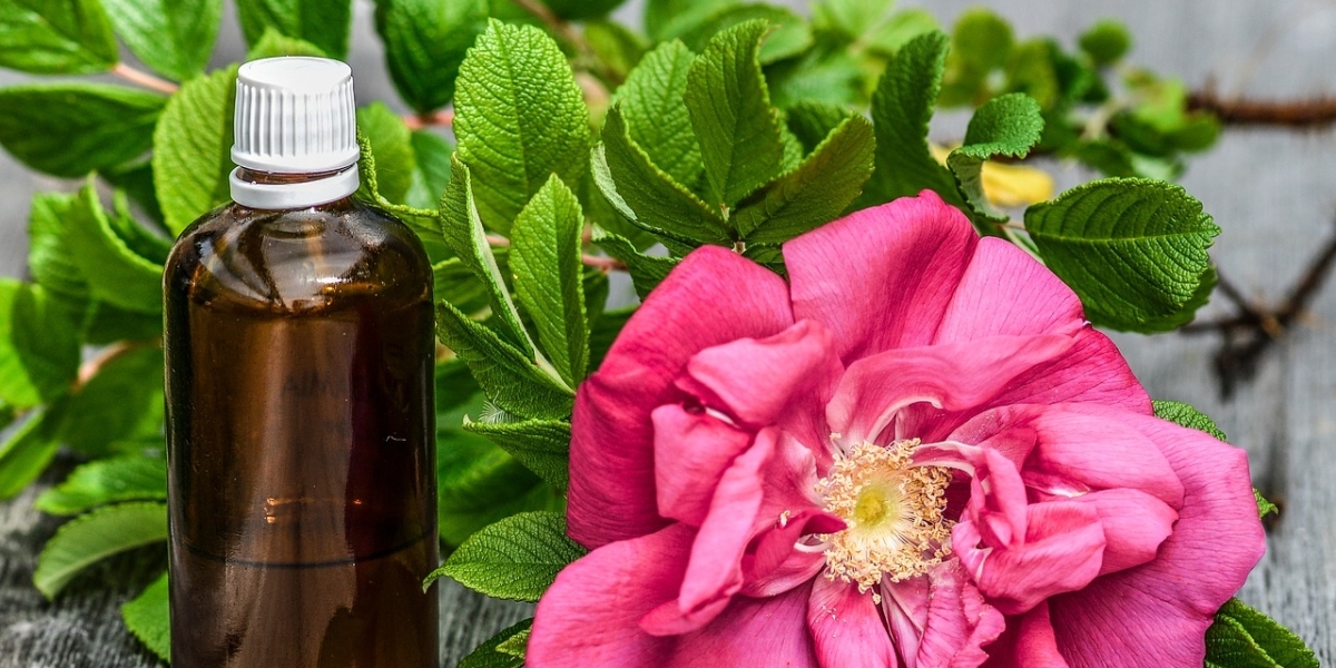 Insights into Rose Oil Trends: Market Analysis and Key Competitors