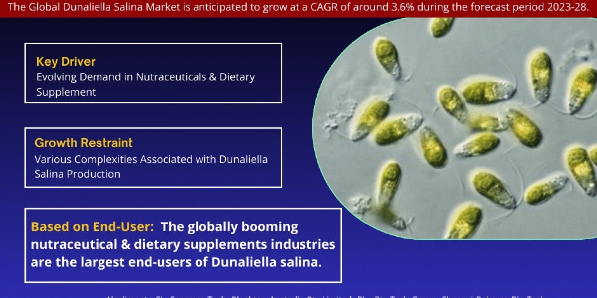 Dunaliella Salina Market Size, Trends, Share, Companies and Report 2023-2028