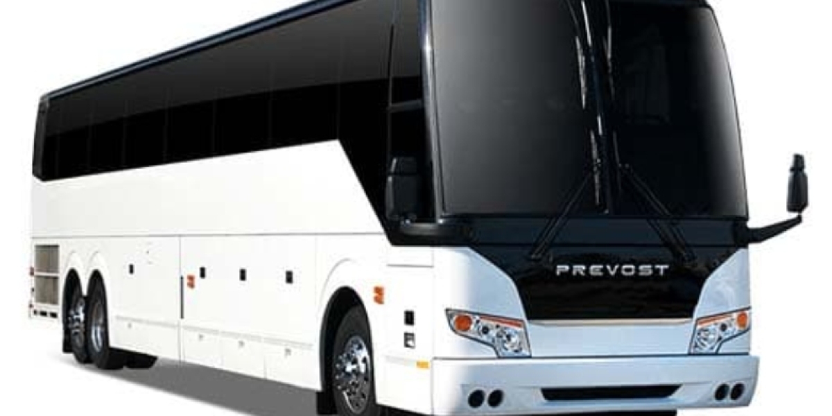 Seamless Group Travel: Bestcan Tours' Charter Bus Services