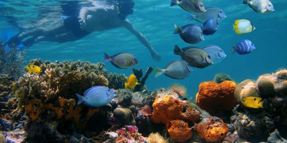 Beyond the Beach: Unforgettable Boat Tours in Turks and Caicos