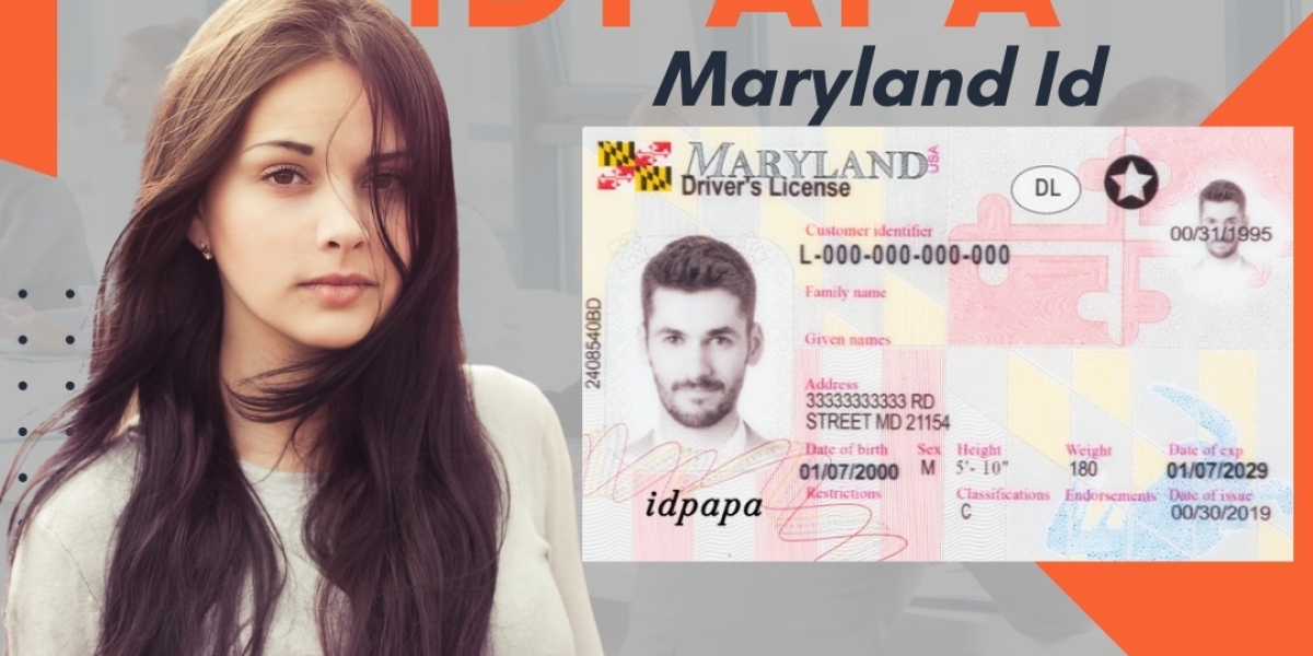 Unleash the Charm: Buy the Best Fake IDs Maryland Offers from IDPAPA!