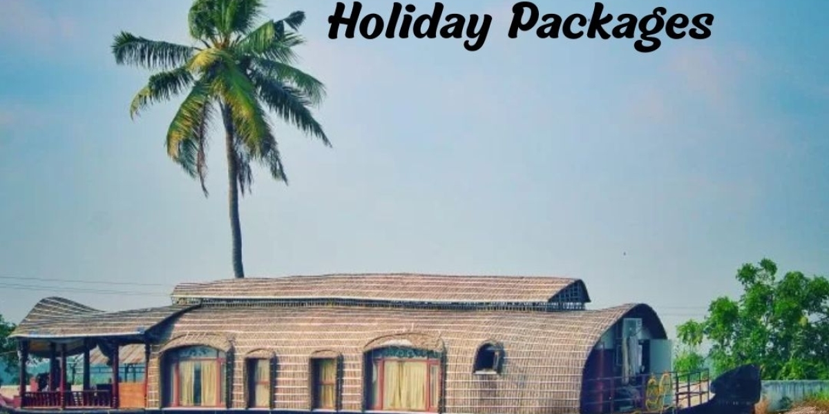 Set out on a superb excursion with our cautiously organized domestic holiday packages.