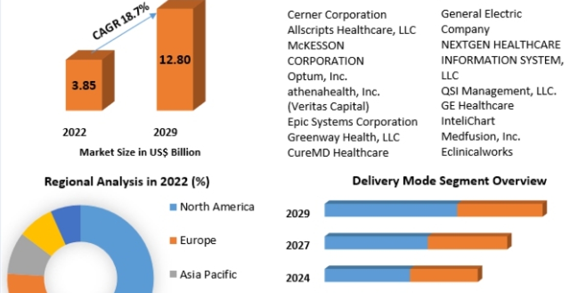 Patient Portal Market Emerging Technologies and Future Growth Study 2029