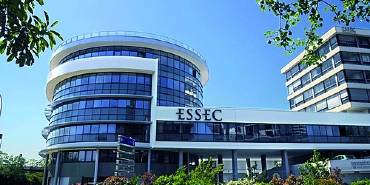 Navigating Success: A Deep Dive into ESSEC MiM - Your Gateway to Global Excellence