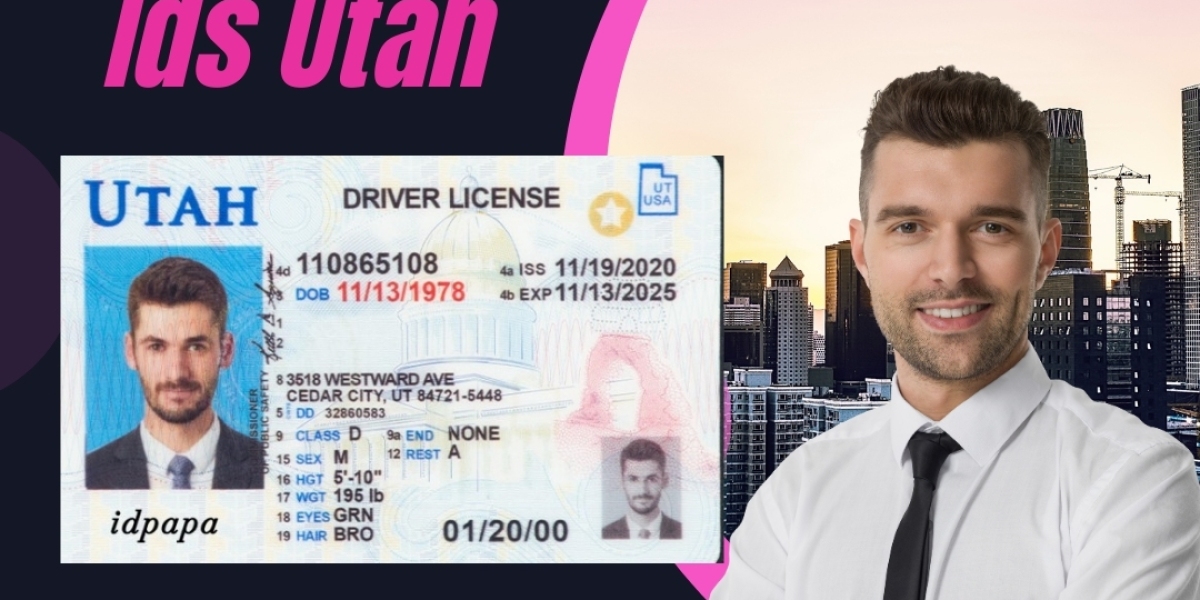 Picture-Perfect Identity: Elevate Presence with the Best ID Pictures from IDPAPA