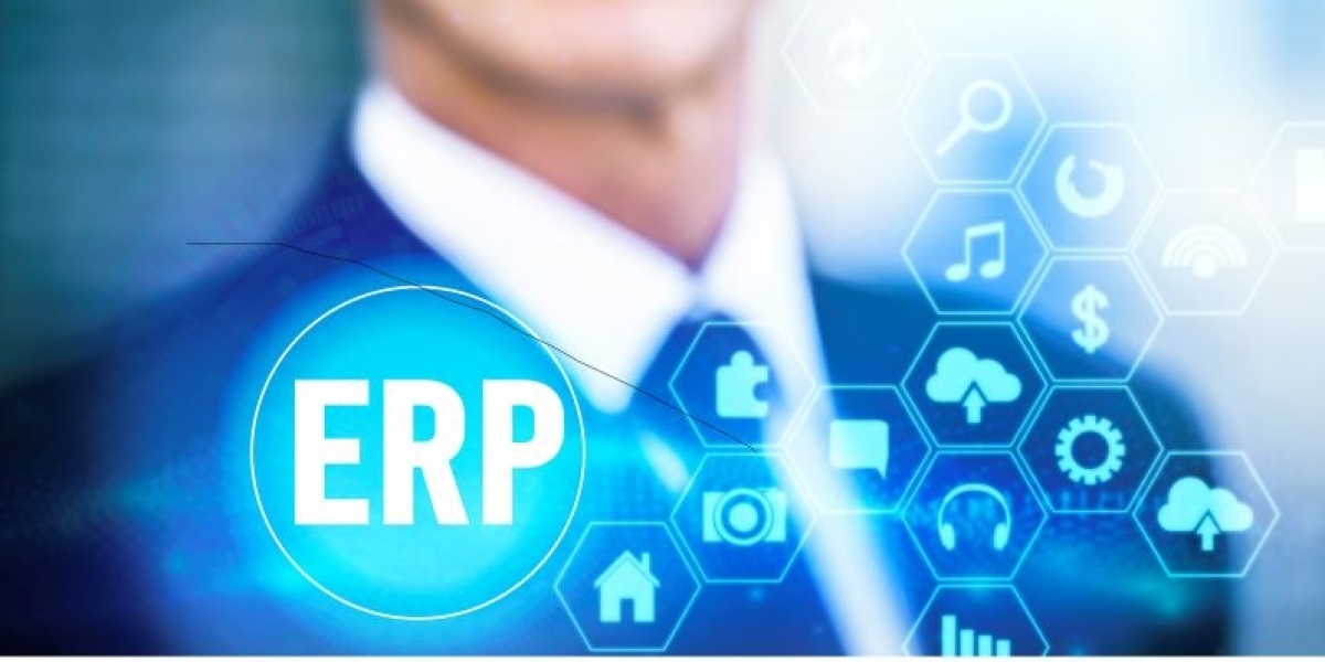 The Role of Cloud ERP Software in Revolutionizing Software Provision