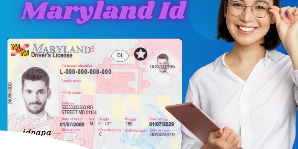 Experience Charm City Unhindered: Buy the Best Maryland Fake ID from IDPAPA!