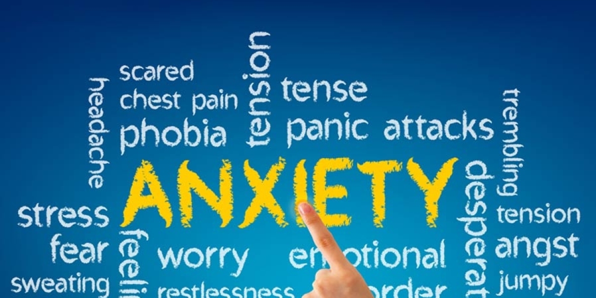 Unraveling the Threads: Anxiety and Personality Traits' Relationship