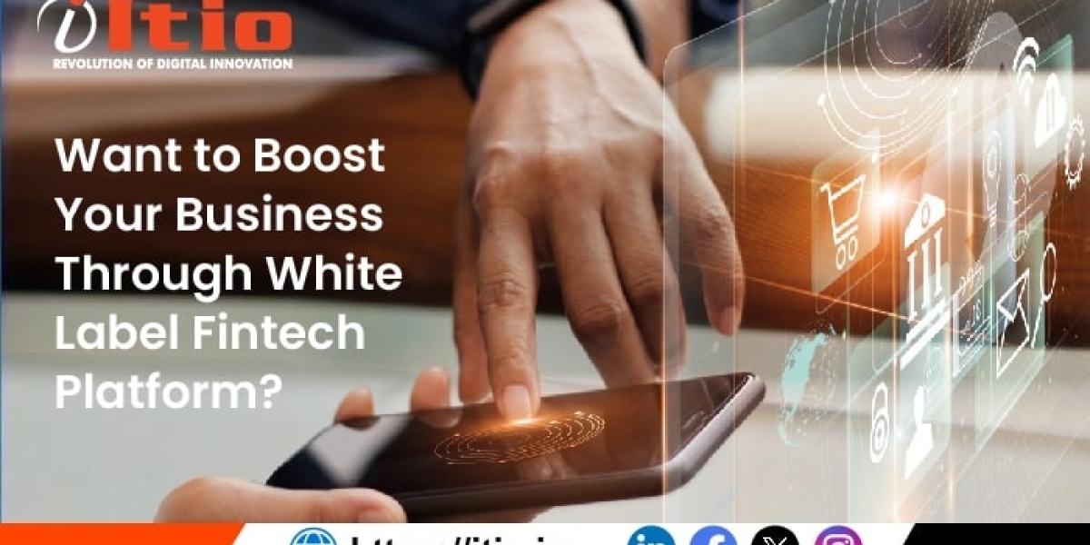 Want to Boost Your Business Through White Label Fintech Platform?