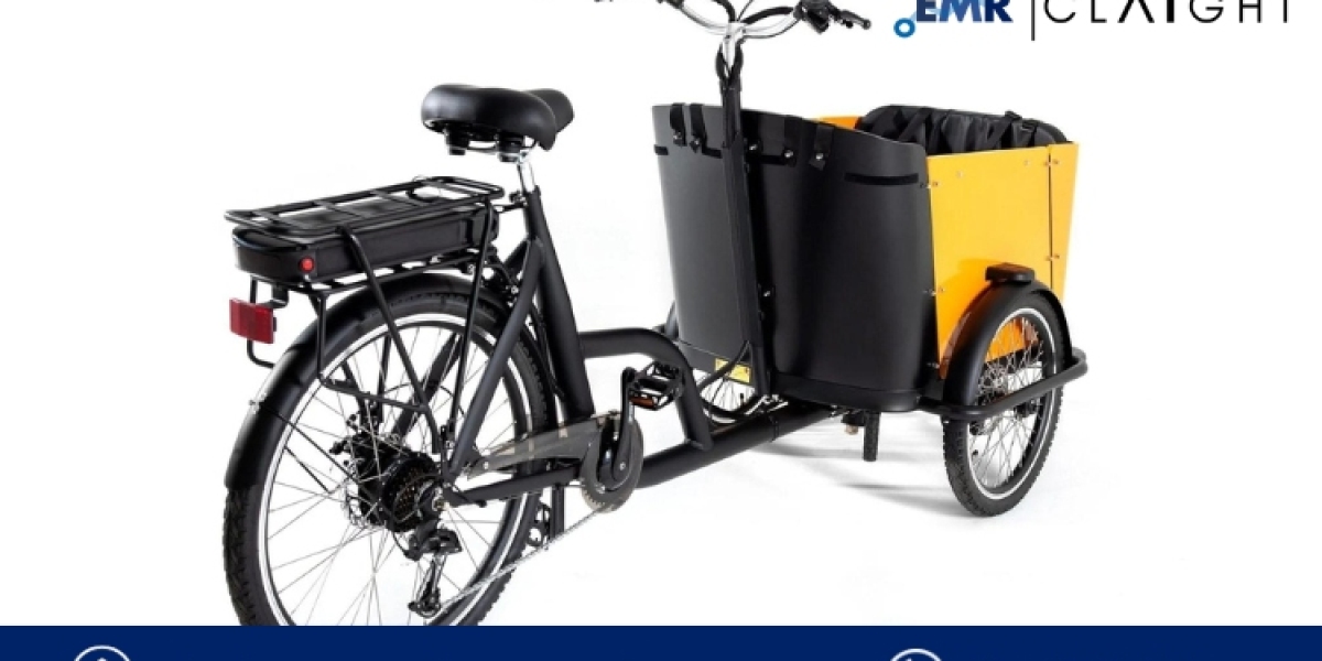 Navigating the Electric Cargo Bikes Market: A Comprehensive Overview