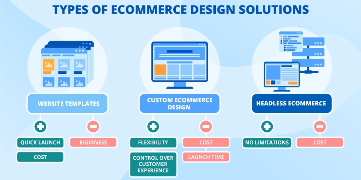 Professional Ecommerce Website Design Services in Delhi