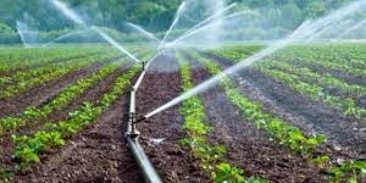 Drip Irrigation Market Outlook Eyes USD 13.20 Billion by 2030, Growing at 12.20% CAGR